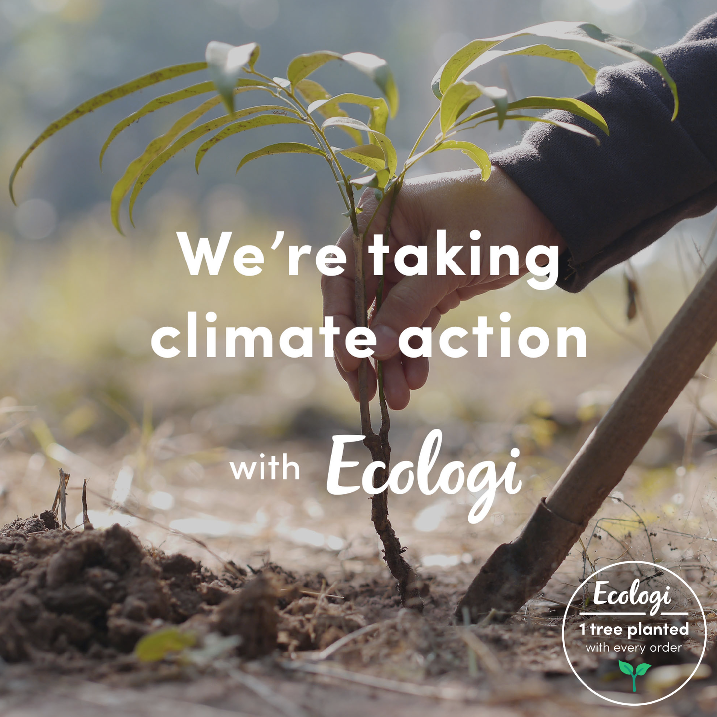 Creatine Monohydrate, Magnesium Taurate and Vitamin B1 (Thiamine HCL)  - BioATP+ Blend - Unflavoured - Two Month Supply - 400g